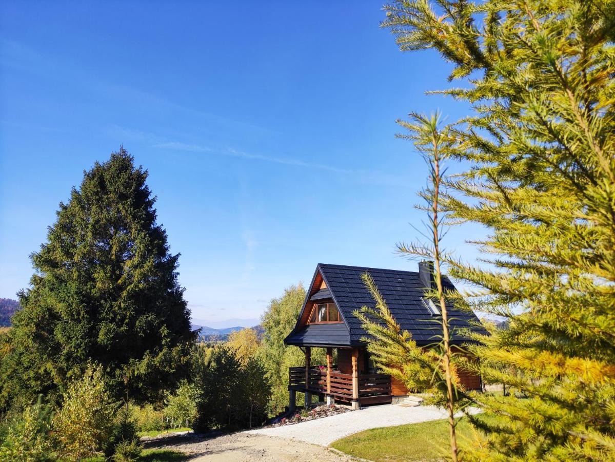 Na Jezynowej Polanie Z Goraca Balia Holiday home *